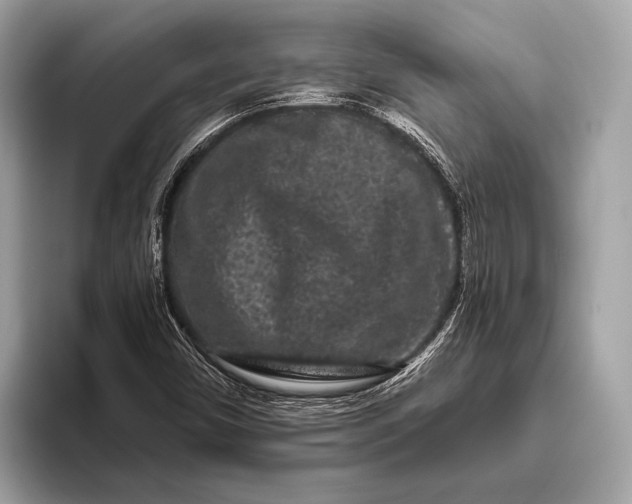 X0000095921450200801251020