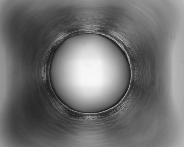 X0000095921451200801251020