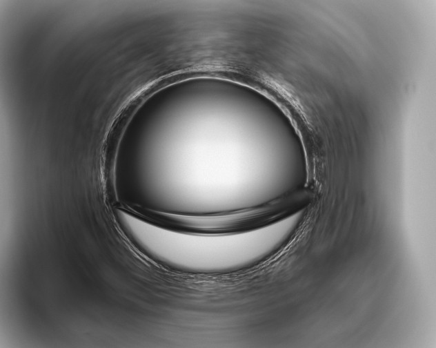 X0000095921452200801251020