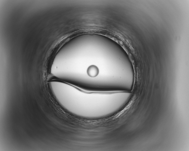 X0000095921453200801251020