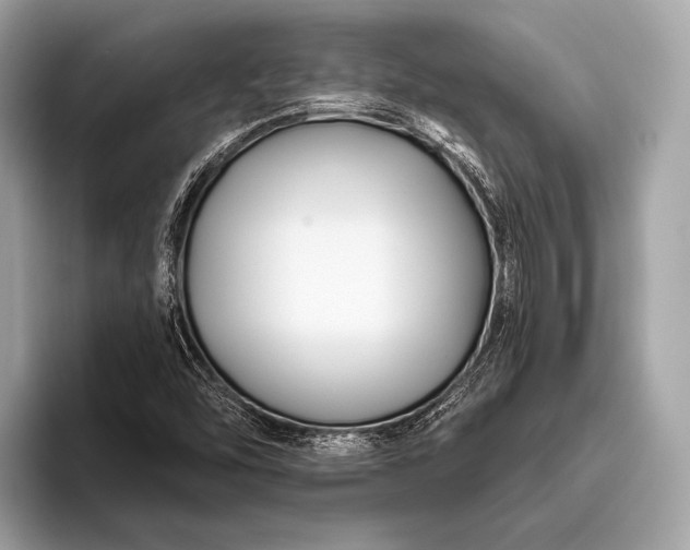 X0000095921454200801251020