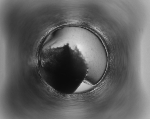 X0000095921455200801251020