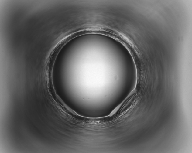 X0000095921456200801251020