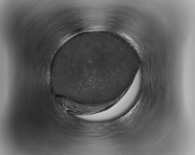 X0000095921457200801251020