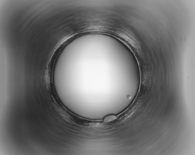 X0000095921458200801251020