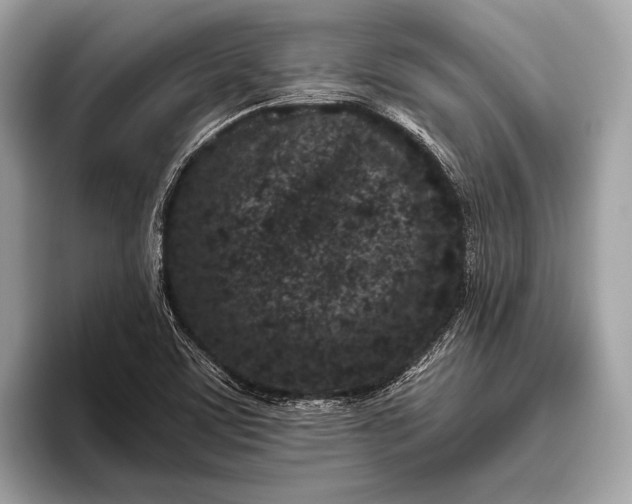 X0000095921459200801251020