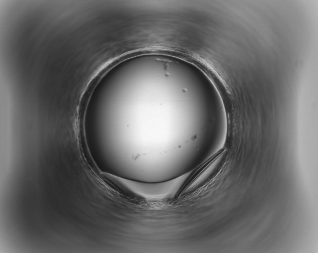 X0000095921460200801251020