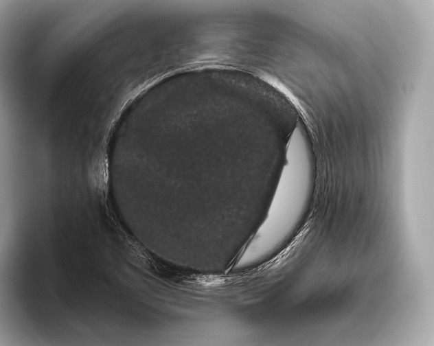 X0000095921461200801251020