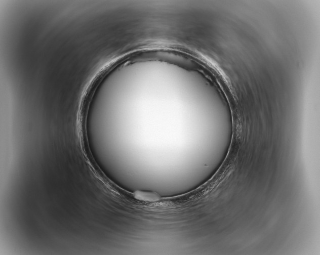 X0000095921464200801251020