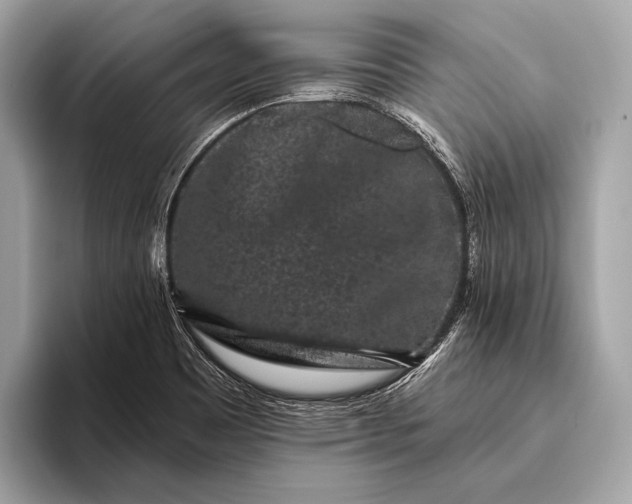 X0000095921465200801251020