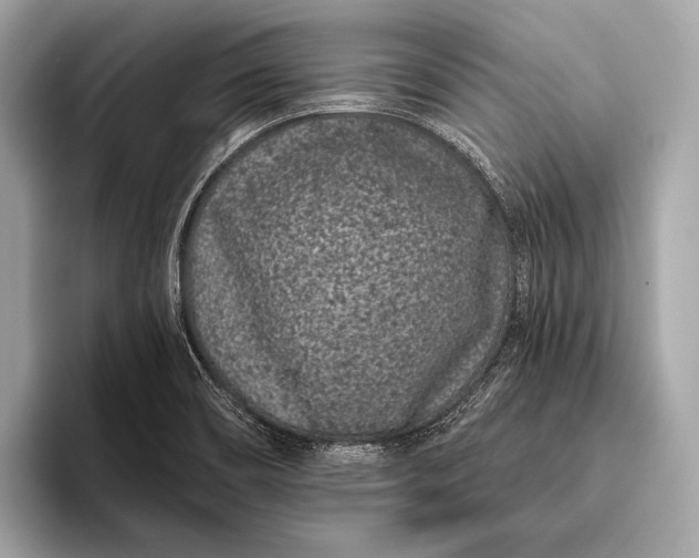 X0000095921466200801251020