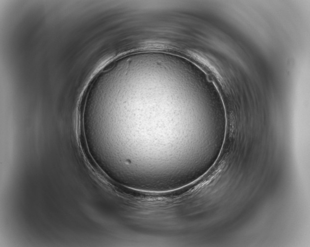 X0000095921467200801251020