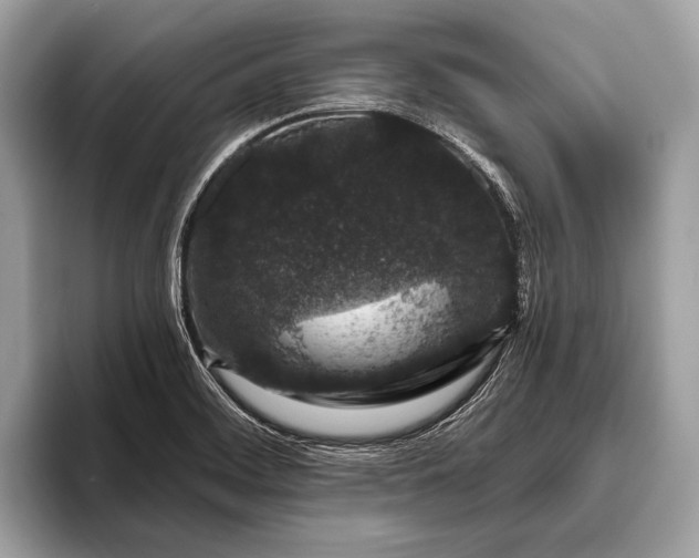 X0000095921468200801251020