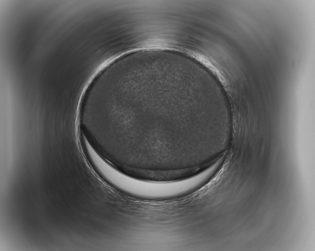 X0000095921469200801251020