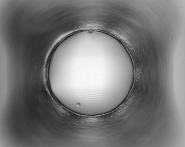 X0000095921470200801251020