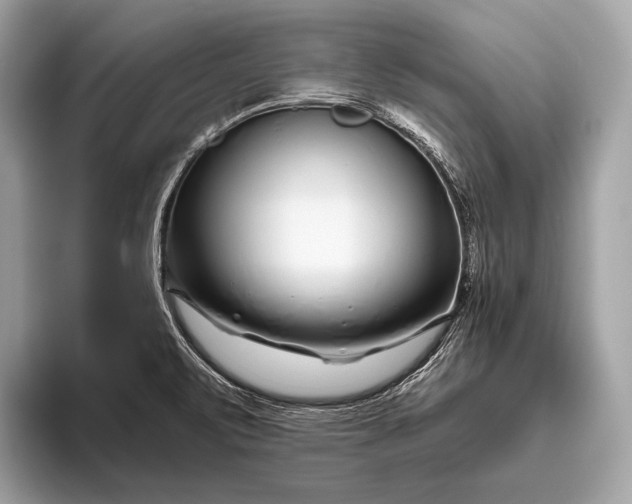 X0000095921471200801251020