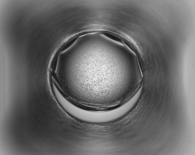 X0000095921472200801251020