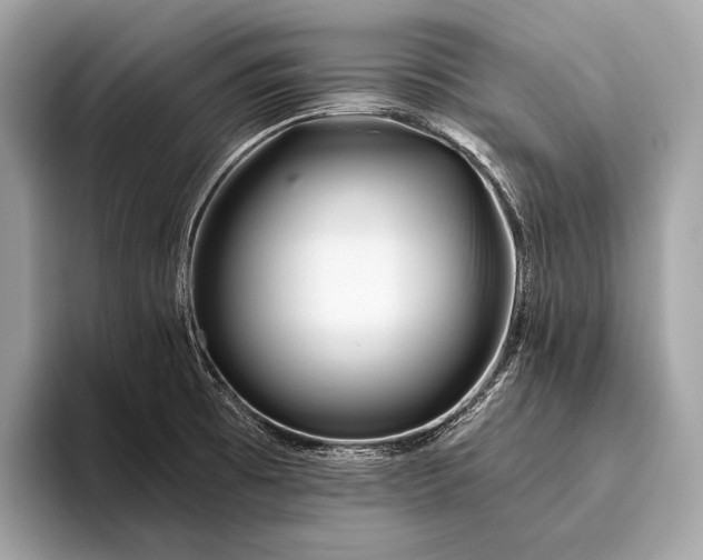 X0000095921473200801251020