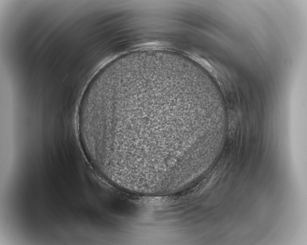 X0000095921474200801251020