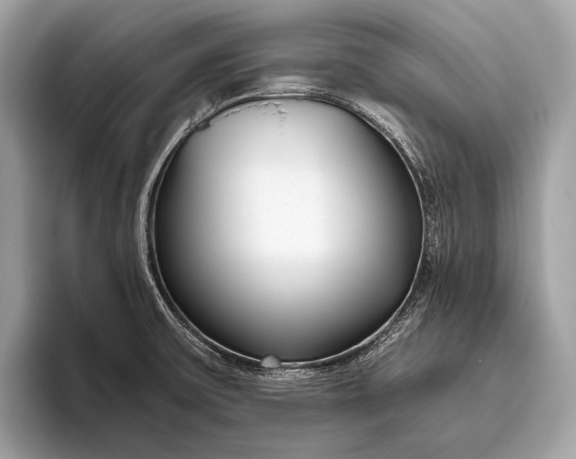 X0000095921475200801251020