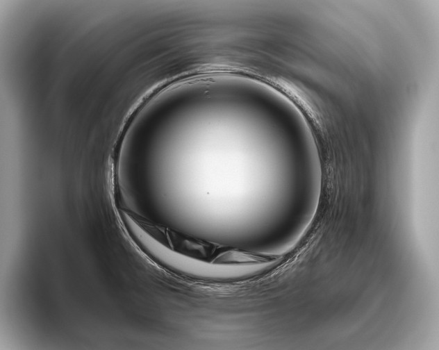 X0000095921476200801251020