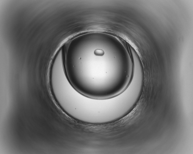 X0000095921477200801251020