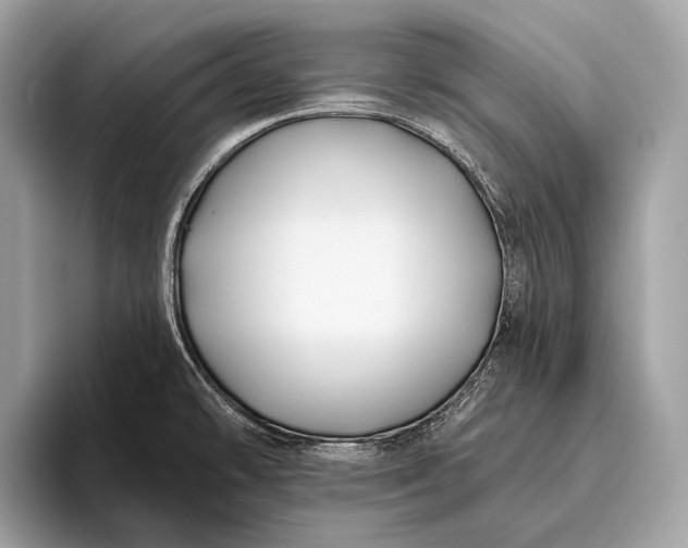 X0000095921478200801251020