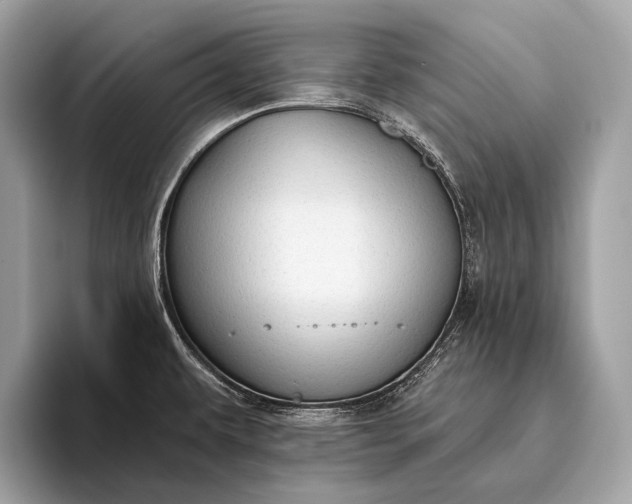 X0000095921479200801251020