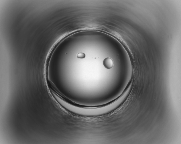 X0000095921480200801251020