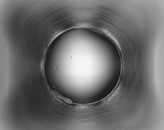 X0000095921481200801251020