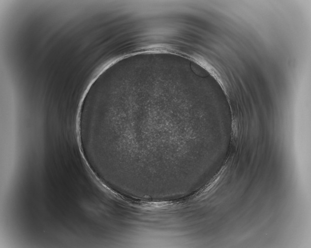 X0000095921482200801251020