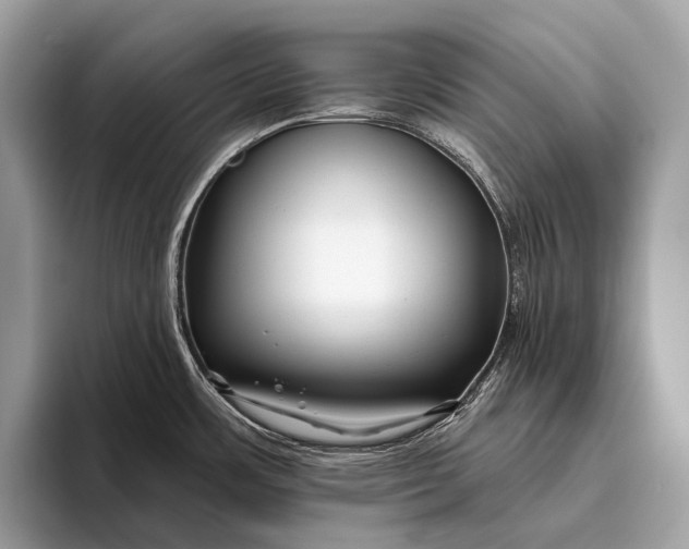 X0000095921483200801251020