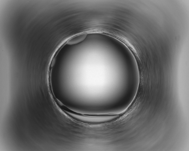 X0000095921484200801251020