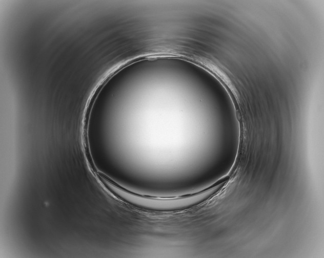 X0000095921485200801251020