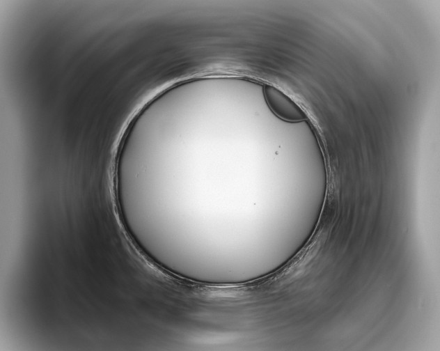 X0000095921486200801251020