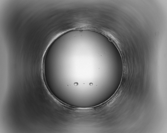 X0000095921487200801251020