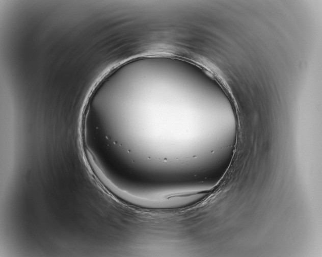 X0000095921488200801251020