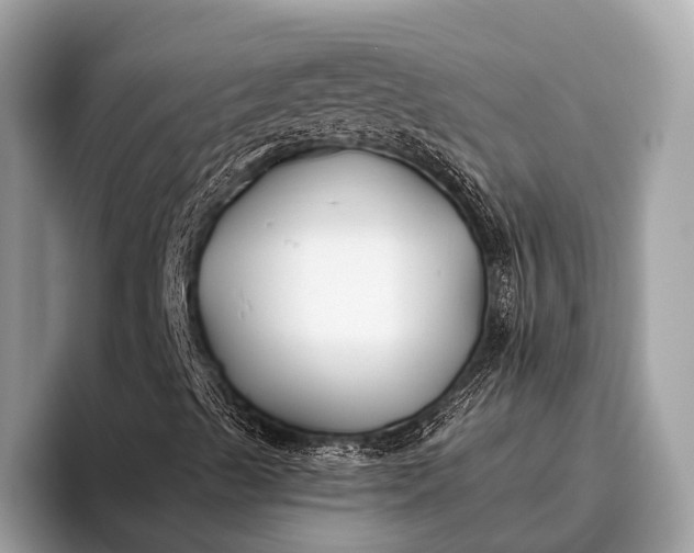 X0000095921489200801251019