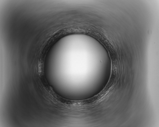 X0000095921490200801251019