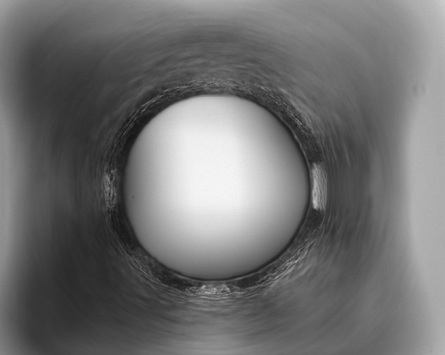 X0000095921491200801251019