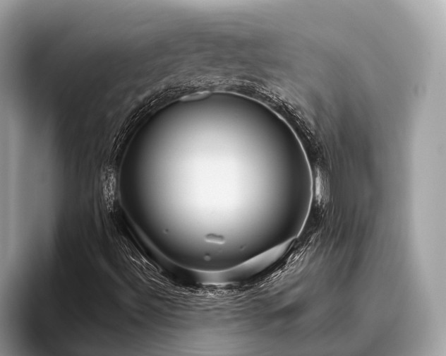 X0000095921492200801251019