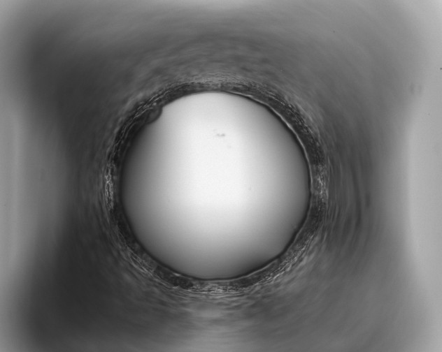 X0000095921493200801251019