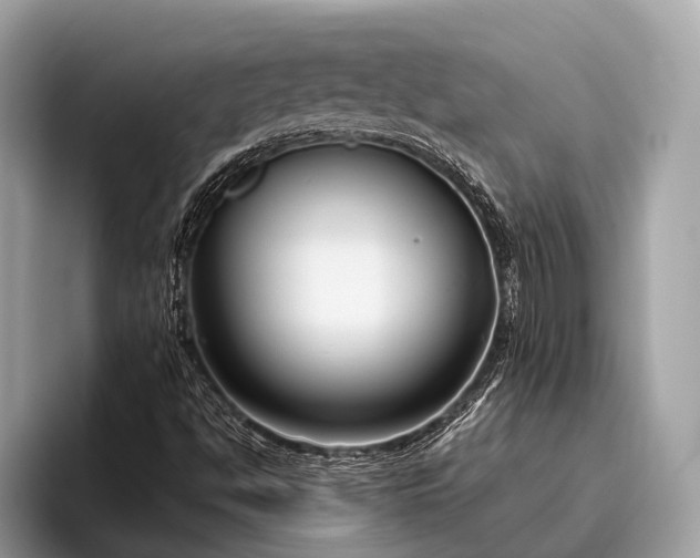 X0000095921494200801251019