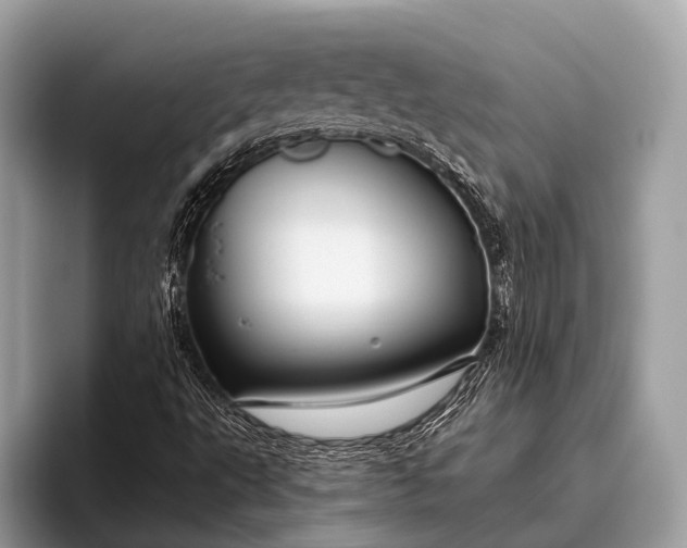 X0000095921495200801251019