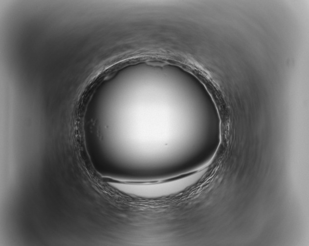 X0000095921496200801251019