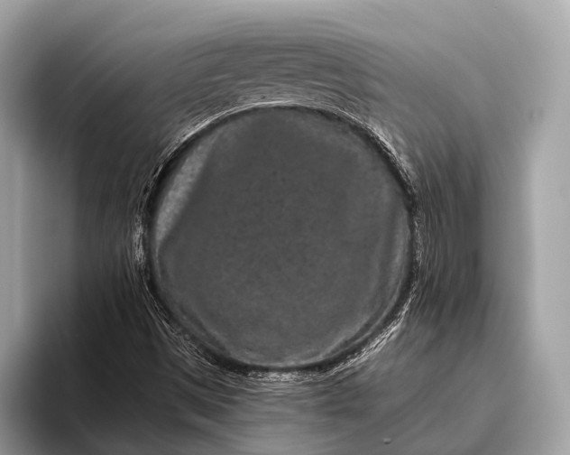 X0000095921497200801251019