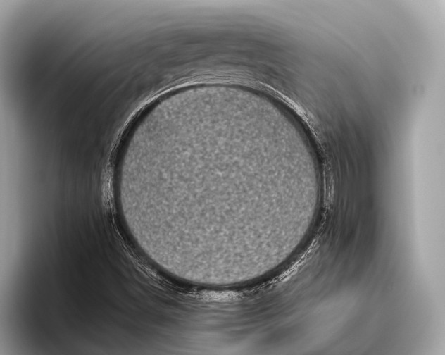 X0000095921498200801251019