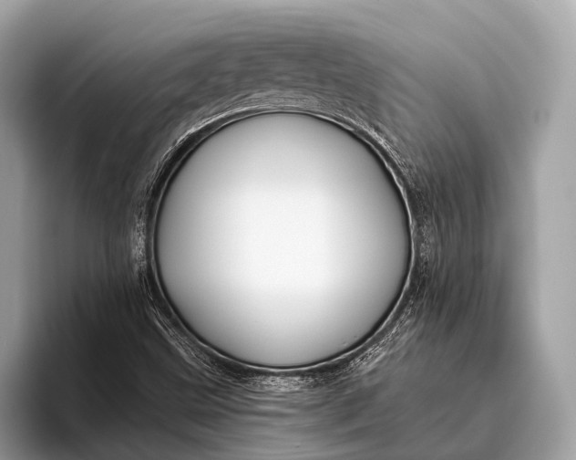 X0000095921499200801251019