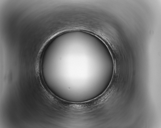 X0000095921500200801251019