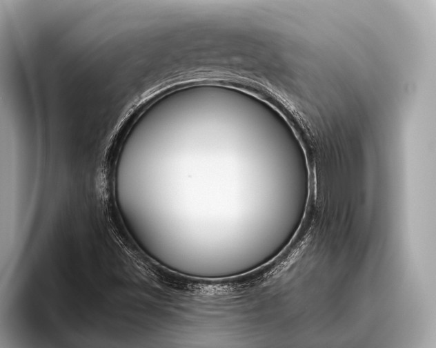 X0000095921501200801251019